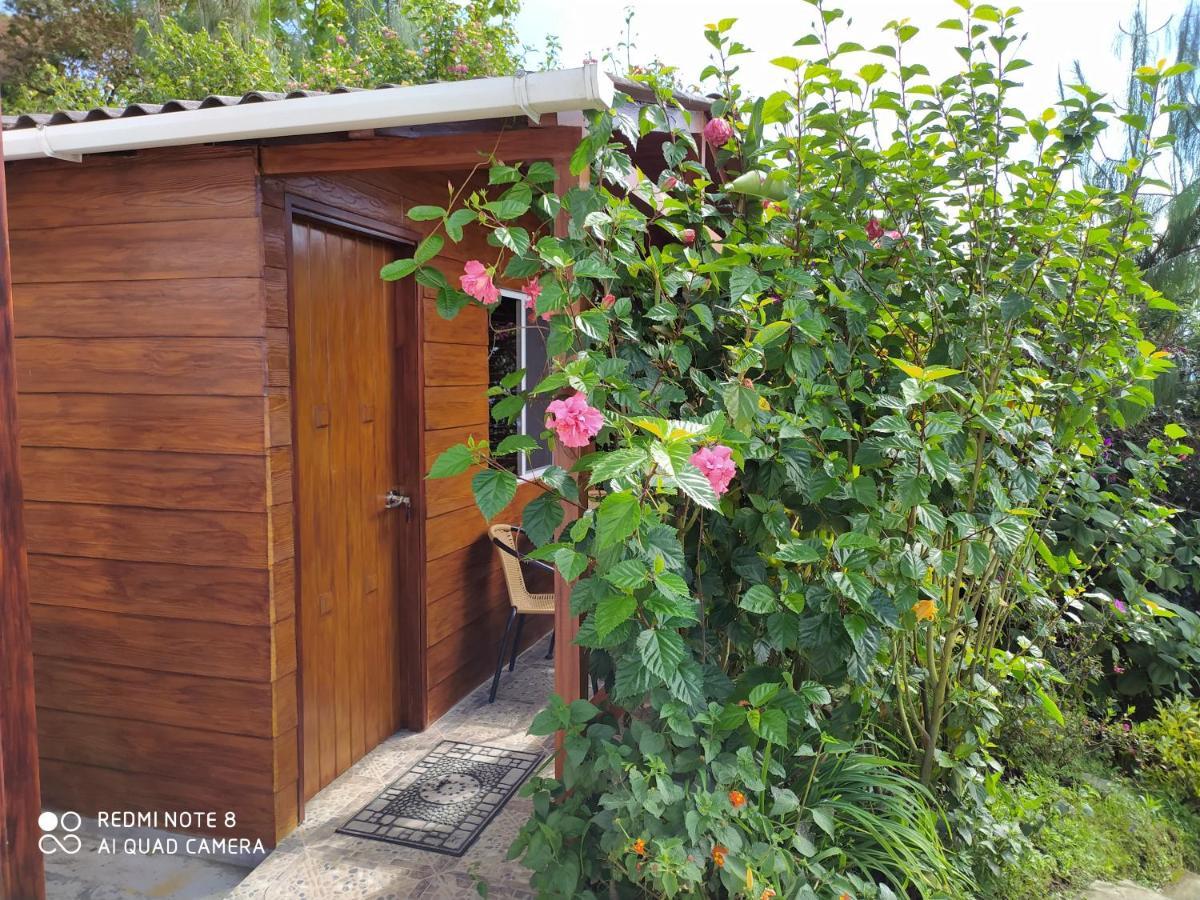 Mirador Finca Morrogacho Manizales Exterior foto