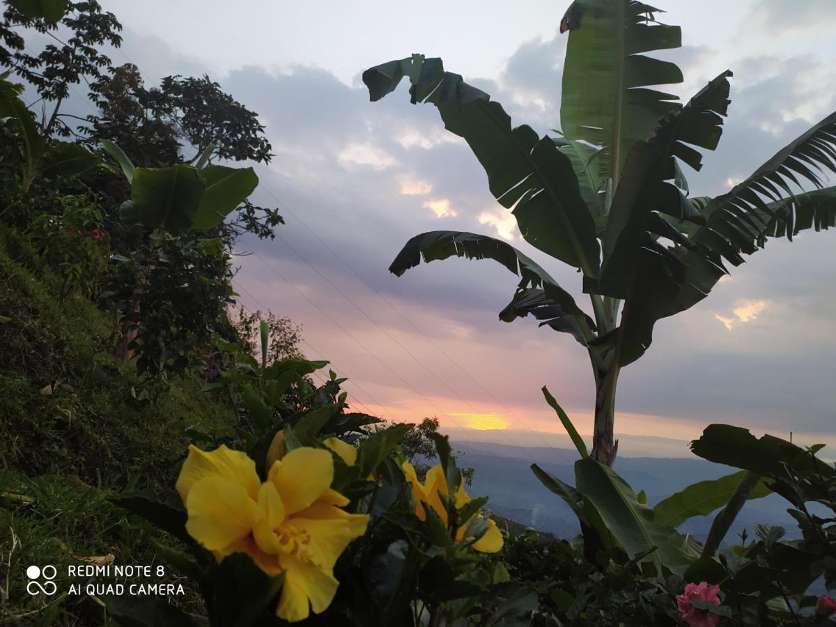 Mirador Finca Morrogacho Manizales Exterior foto