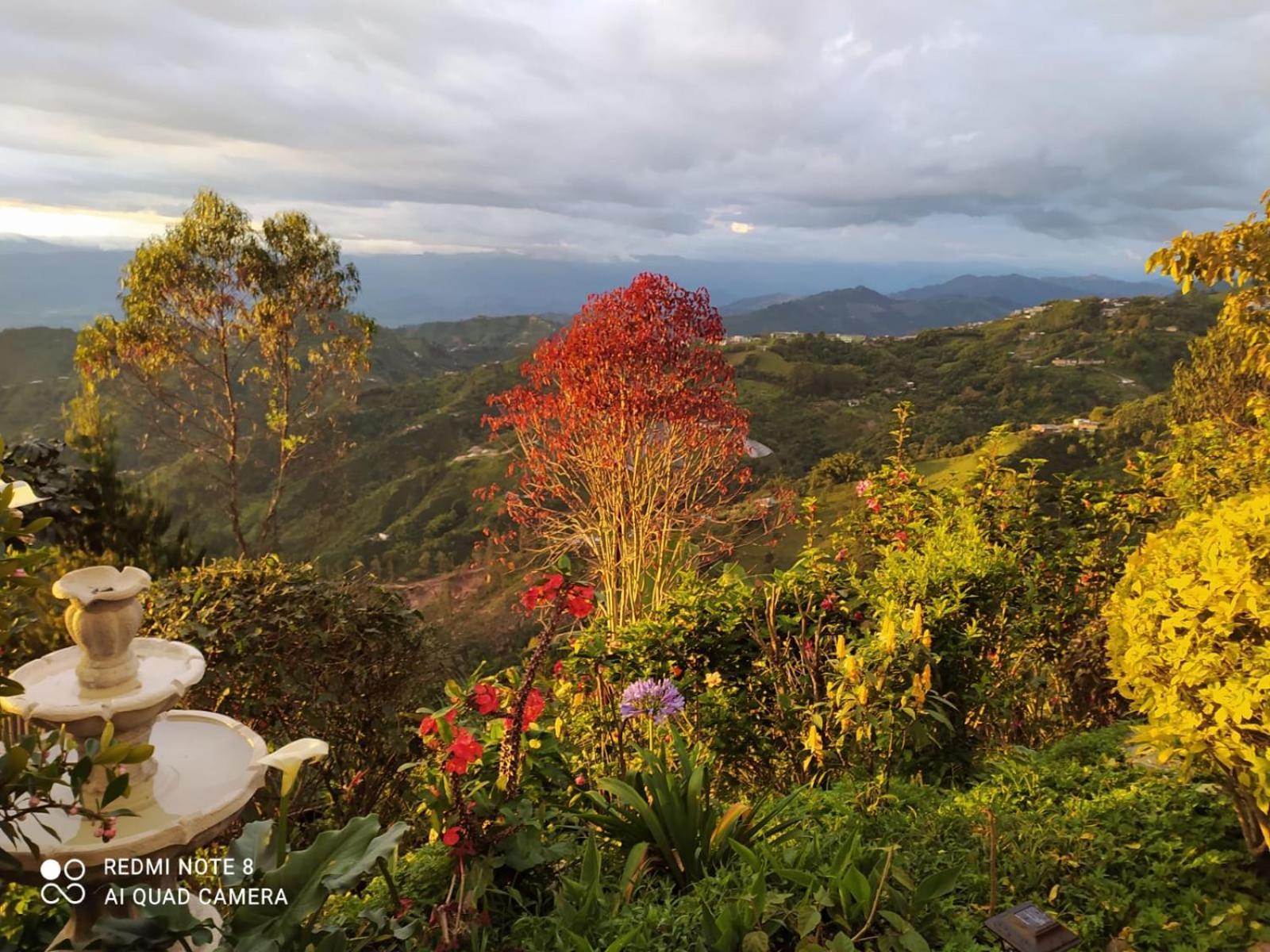 Mirador Finca Morrogacho Manizales Exterior foto